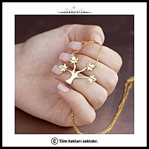 925 Ayar Gümüş İsimli Soy Ağacı Kolye