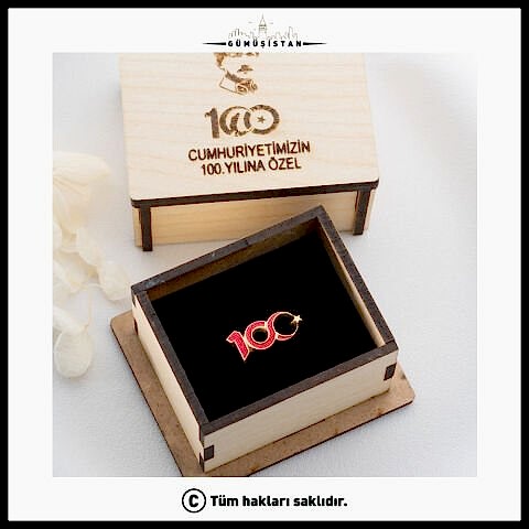 14 Ayar Altın Kaplama Cumhuriyetin 100. Yılına Özel Tasarlanmış Kırmızı Broş