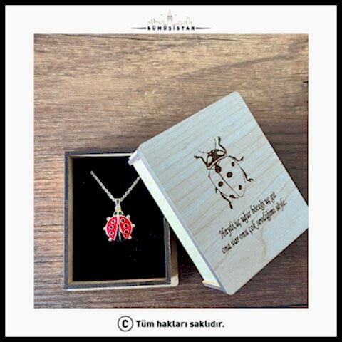 14 Ayar Altın Kaplama Özel Kutulu Açılan Uğurböceği Kolye