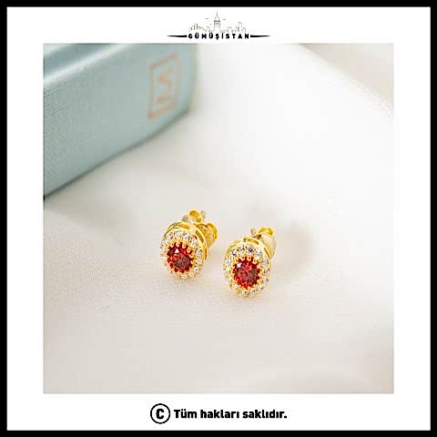 925 Ayar Gümüş Aylara Göre Doğum Taşı Küpe