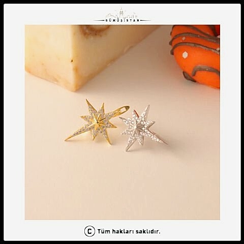 925 Ayar Gümüş Kutup Yıldızı Küpe