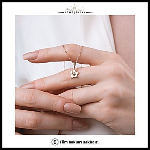 925 Ayar Gümüş Menekşe Çiçeği Şubat Ayı Minimal Doğum Taşı Kolyesi