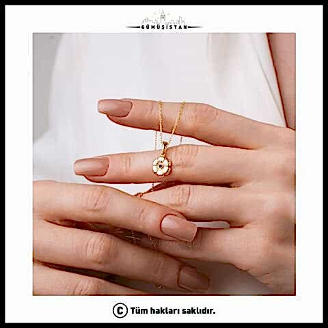 925 Ayar Gümüş Aster Çiçeği Eylül Ayı Minimal Doğum Taşı Kolyesi